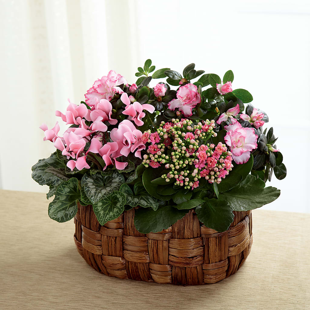 Pink Assortment – Allure Floral Boutique, Wickliffe OH