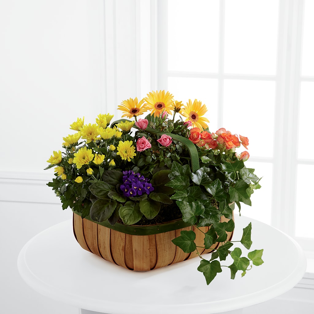 Gentle Blossoms Basket – Allure Floral Boutique, Wickliffe OH