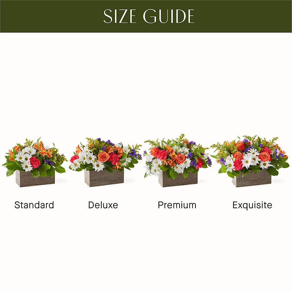 Oopsie Daisy Box Bouquet – Allure Floral Boutique, Wickliffe OH