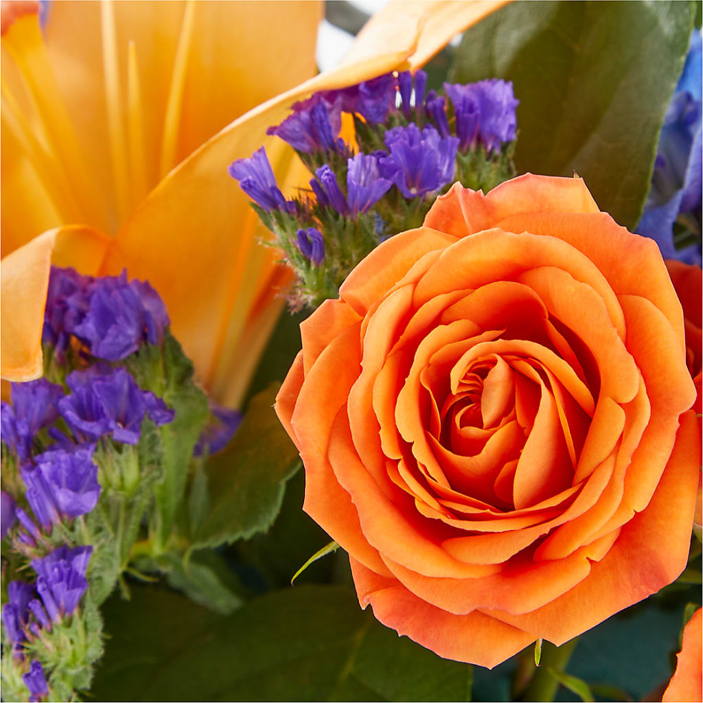 Radiant Citrus Box Bouquet – Allure Floral Boutique, Wickliffe OH