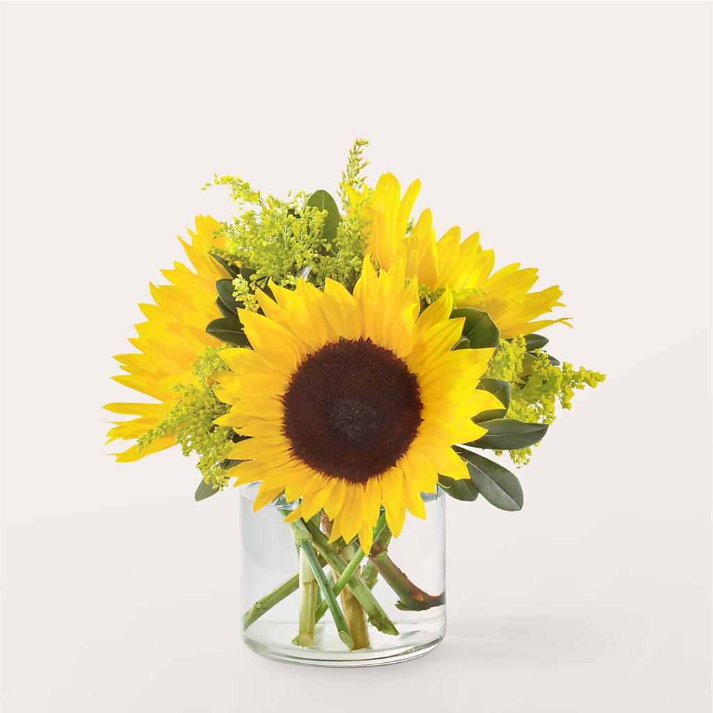 Beaming Sunflower Bouquet – Allure Floral Boutique, Wickliffe OH