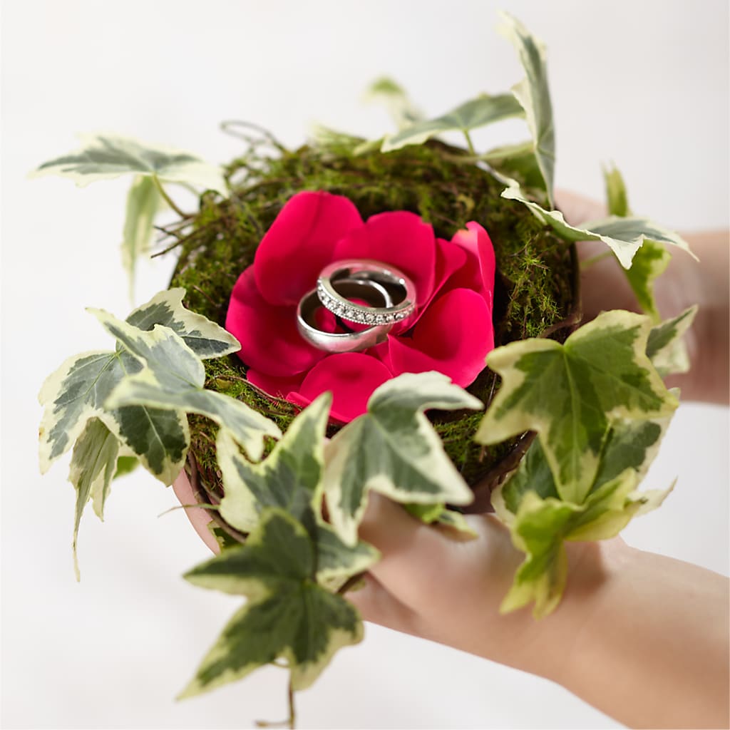 Lila Rose Ring Nest – Allure Floral Boutique, Wickliffe OH