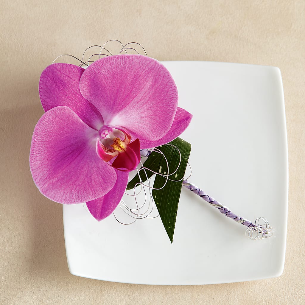 Glorious Boutonniere – Allure Floral Boutique, Wickliffe OH