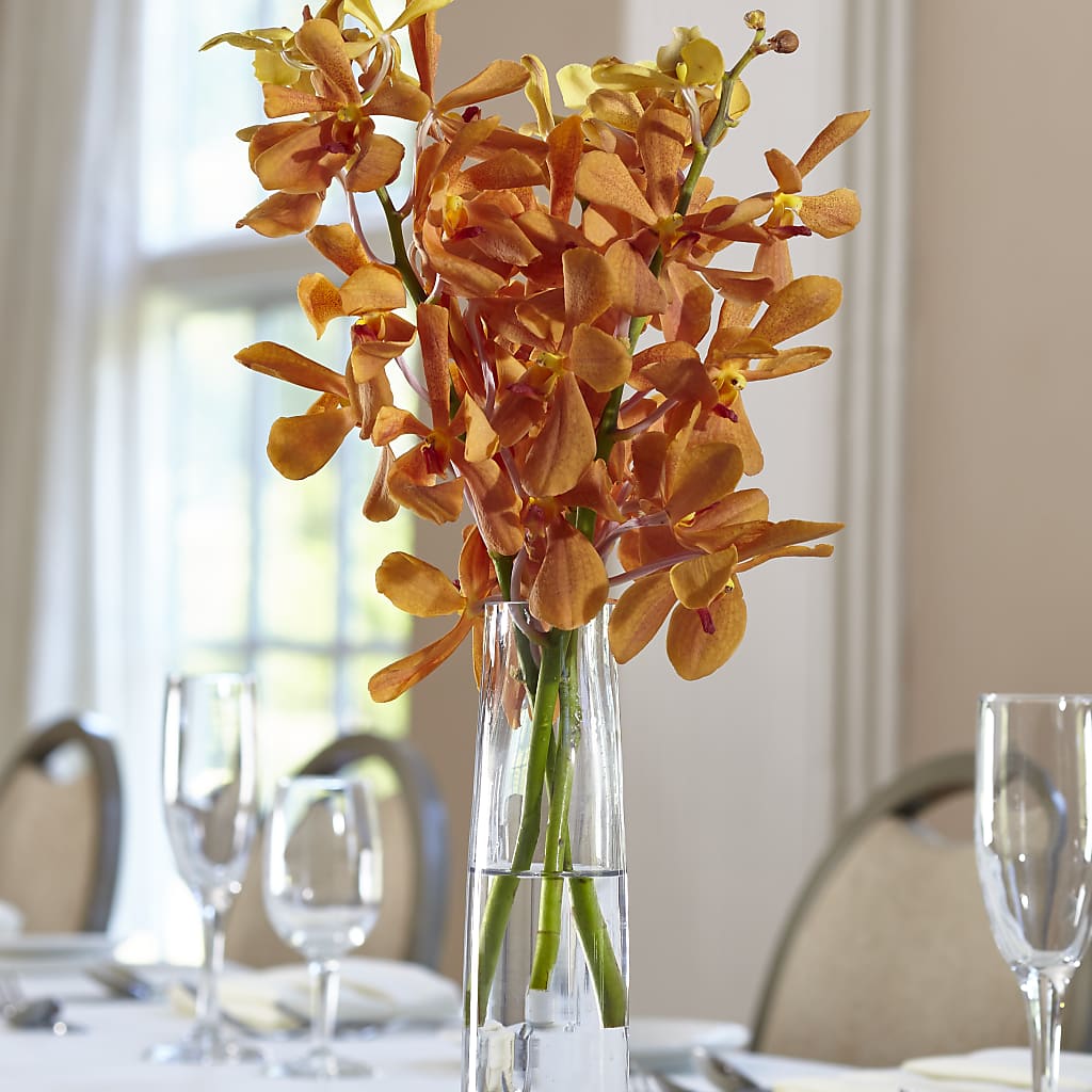 Orange Mokara Bud Vase – Allure Floral Boutique, Wickliffe OH