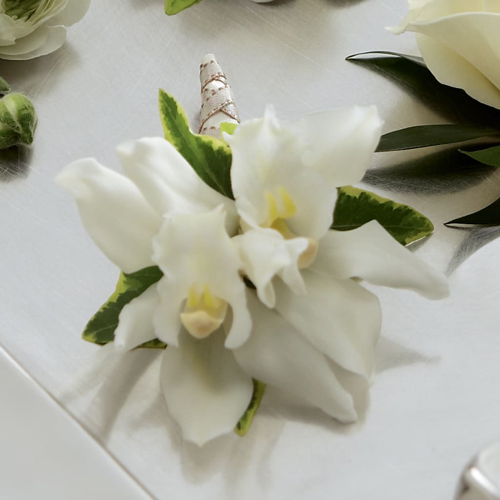 White Mini Cymbidium Boutonniere – Allure Floral Boutique, Wickliffe OH