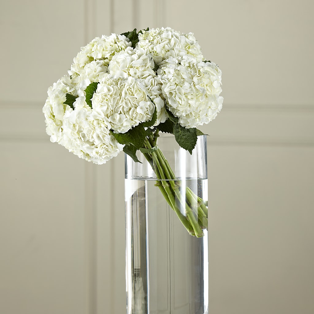 White Hydrangea Hand-Tied Bouquet – Allure Floral Boutique, Wickliffe OH