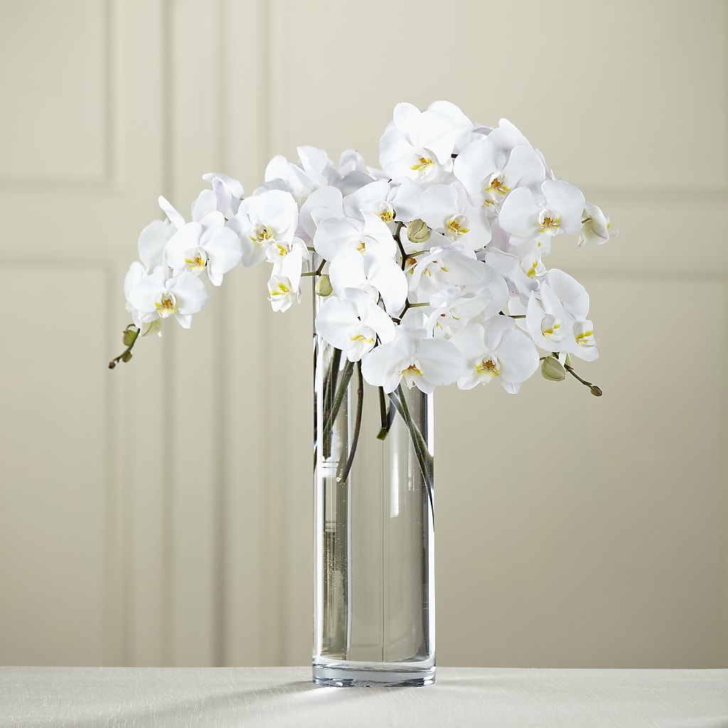 White Phalaenopsis Bouquet – Allure Floral Boutique, Wickliffe OH