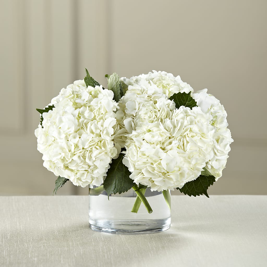 White Hydrangea Bouquet – Allure Floral Boutique, Wickliffe OH