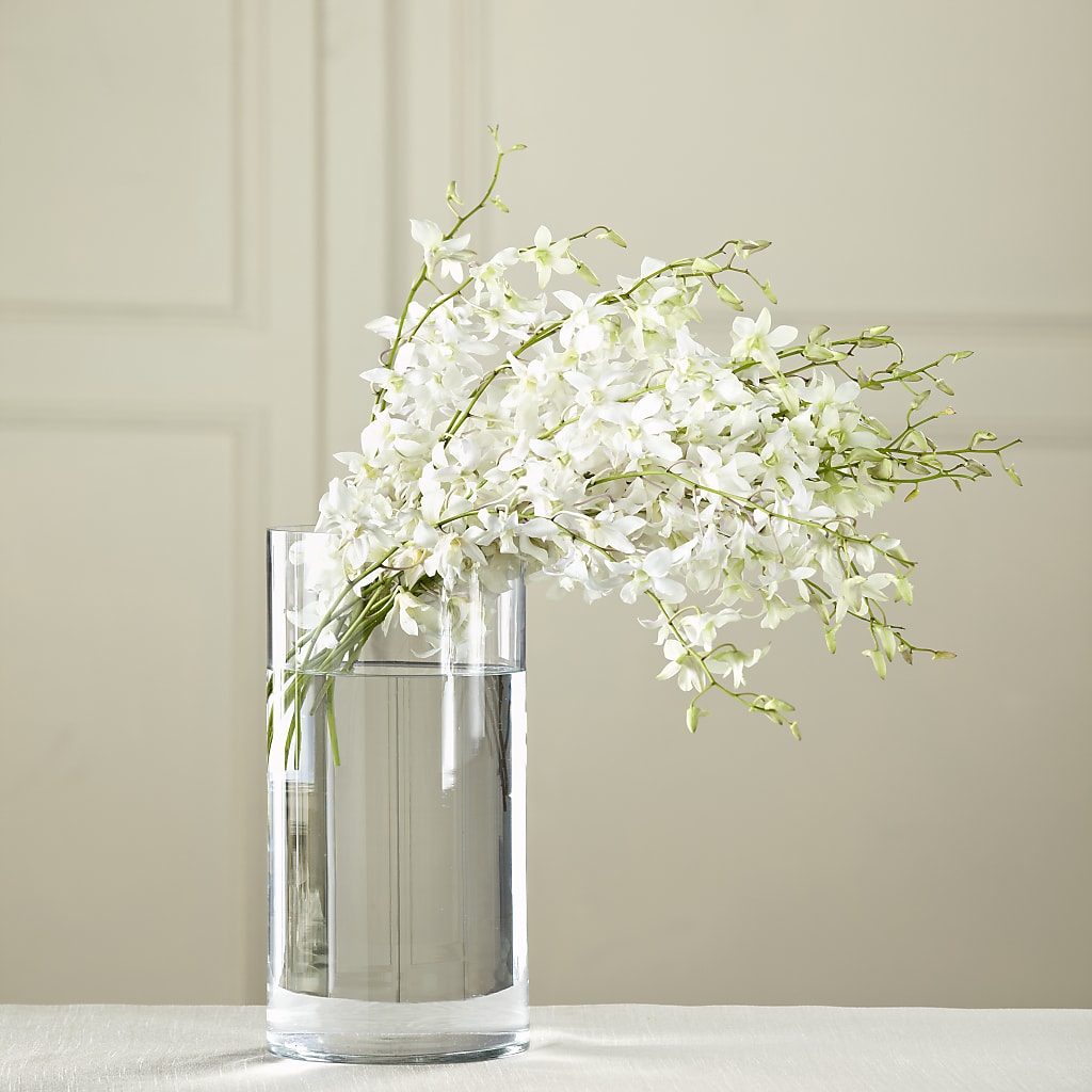 White Dendrobium Bouquet – Allure Floral Boutique, Wickliffe OH