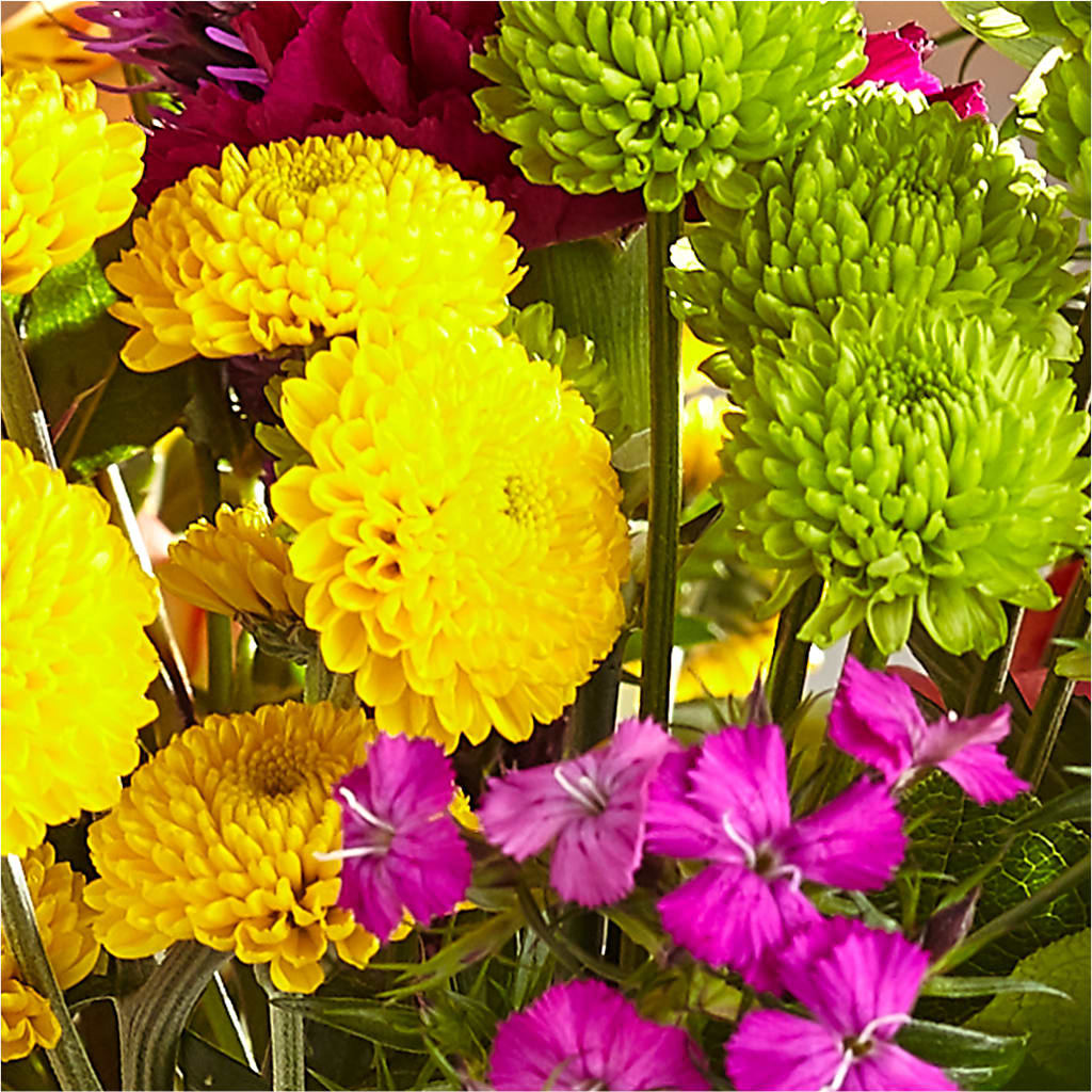 Bold & Bright – A Florist Original –  Allure Floral Boutique, Wickliffe OH
