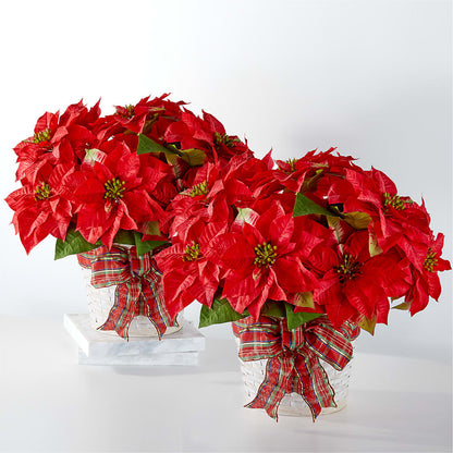 Happiest Holidays Poinsettia Bundle –  Allure Floral Boutique, Wickliffe OH