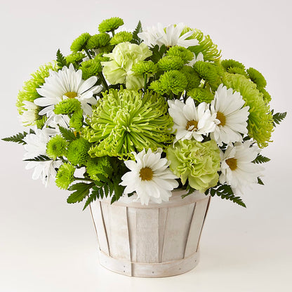 Lucky Charm Basket (Standard) –  Allure Floral Boutique, Wickliffe OH