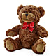 Adorable Plush Bear –  Allure Floral Boutique, Wickliffe OH