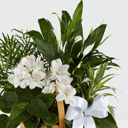 Peace & Serenity Dishgarden –  Allure Floral Boutique, Wickliffe OH