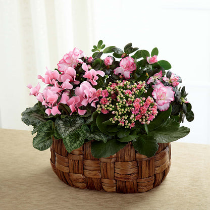 Pink Assortment –  Allure Floral Boutique, Wickliffe OH