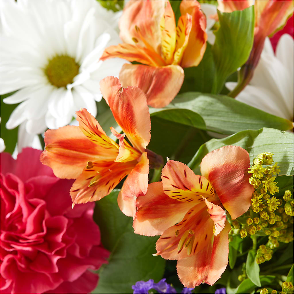 Oopsie Daisy Box Bouquet –  Allure Floral Boutique, Wickliffe OH