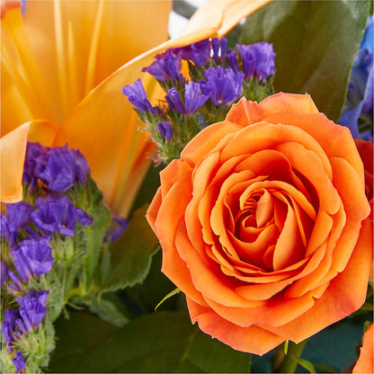 Radiant Citrus Box Bouquet –  Allure Floral Boutique, Wickliffe OH