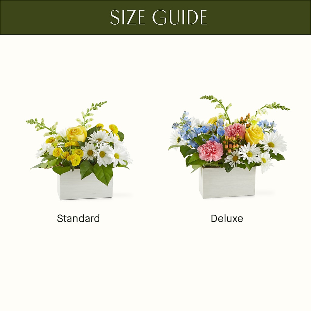 Sun Salutation Box Bouquet –  Allure Floral Boutique, Wickliffe OH