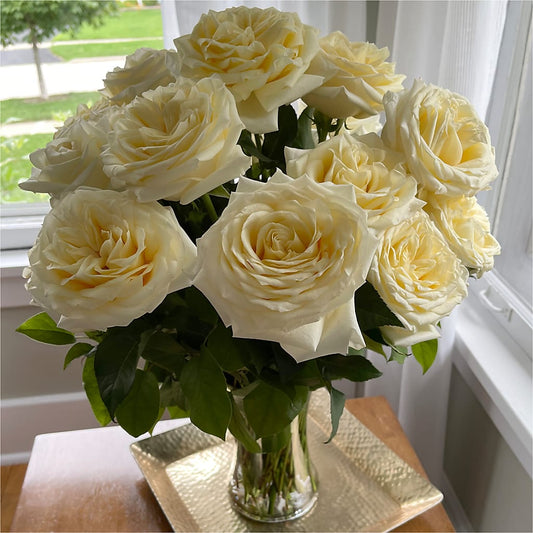 Long Stem Yellow Rose Bouquet –  Allure Floral Boutique, Wickliffe OH