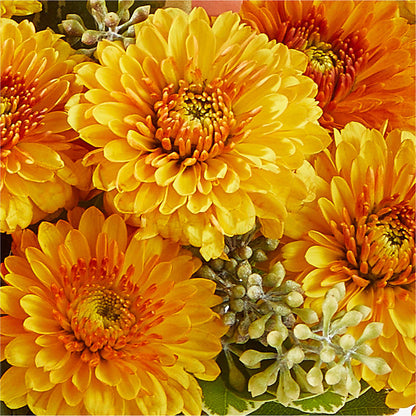 Peachy Pumpkin –  Allure Floral Boutique, Wickliffe OH