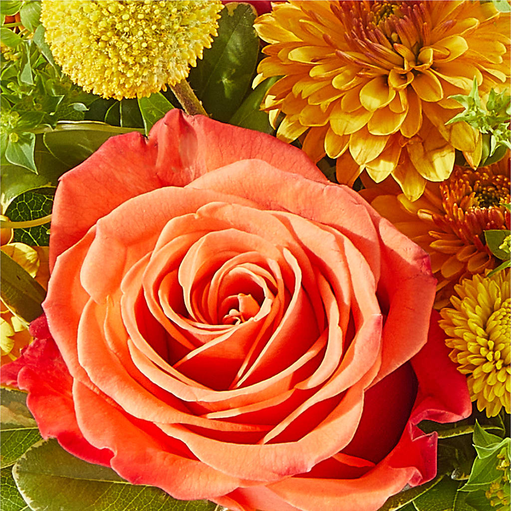 Gourdgeous Pumpkin –  Allure Floral Boutique, Wickliffe OH