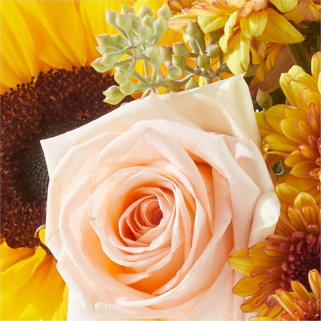 Pumpkin to Talk About Bouquet –  Allure Floral Boutique, Wickliffe OH