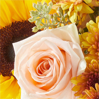 Pumpkin to Talk About Bouquet –  Allure Floral Boutique, Wickliffe OH