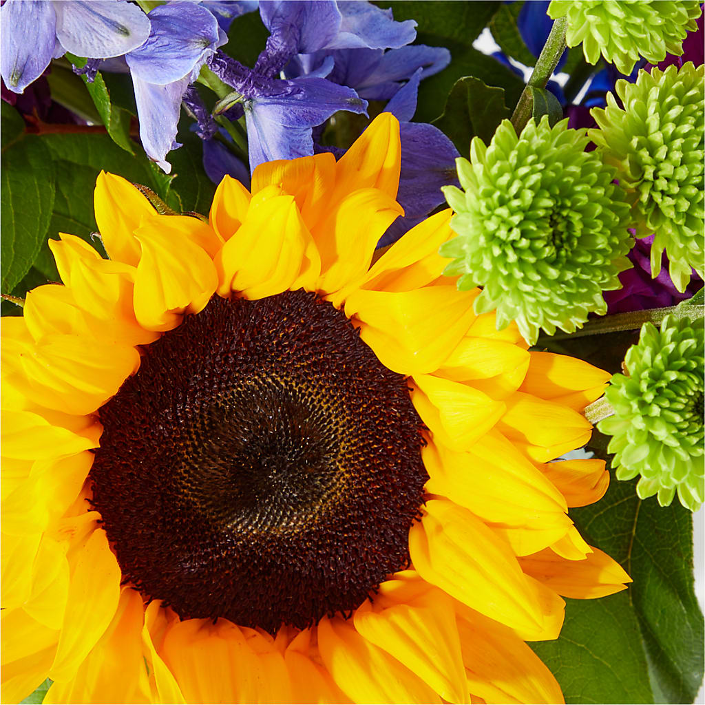 Catching Rays Bouquet –  Allure Floral Boutique, Wickliffe OH