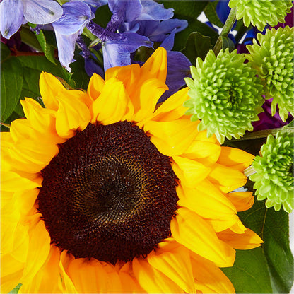 Catching Rays Bouquet –  Allure Floral Boutique, Wickliffe OH