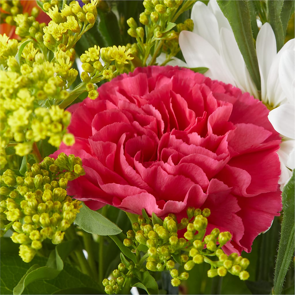 Oopsie Daisy Bouquet –  Allure Floral Boutique, Wickliffe OH