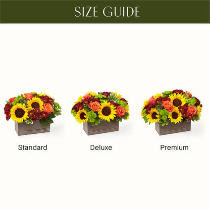 Happy Harvest Garden –  Allure Floral Boutique, Wickliffe OH