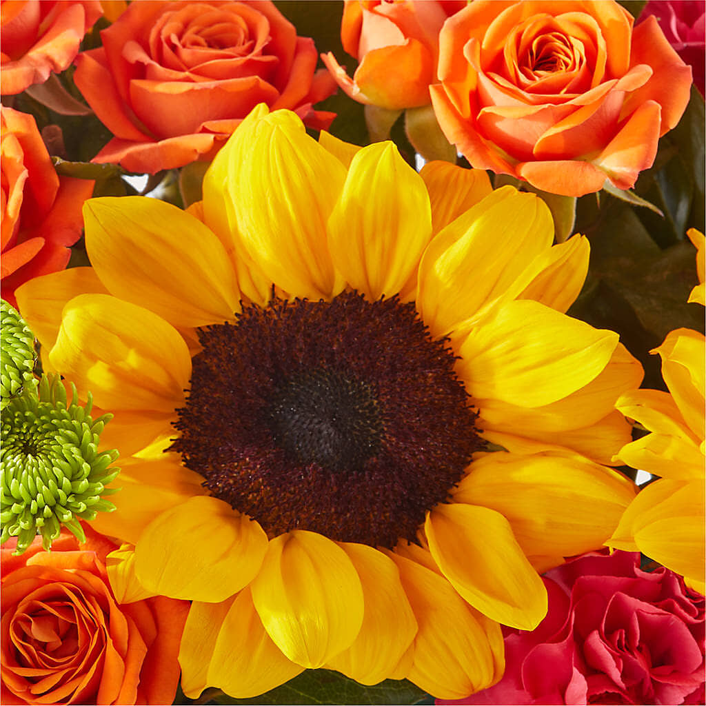 Sun-drenched Blooms Box Bouquet –  Allure Floral Boutique, Wickliffe OH