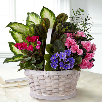 Peaceful Garden Planter –  Allure Floral Boutique, Wickliffe OH