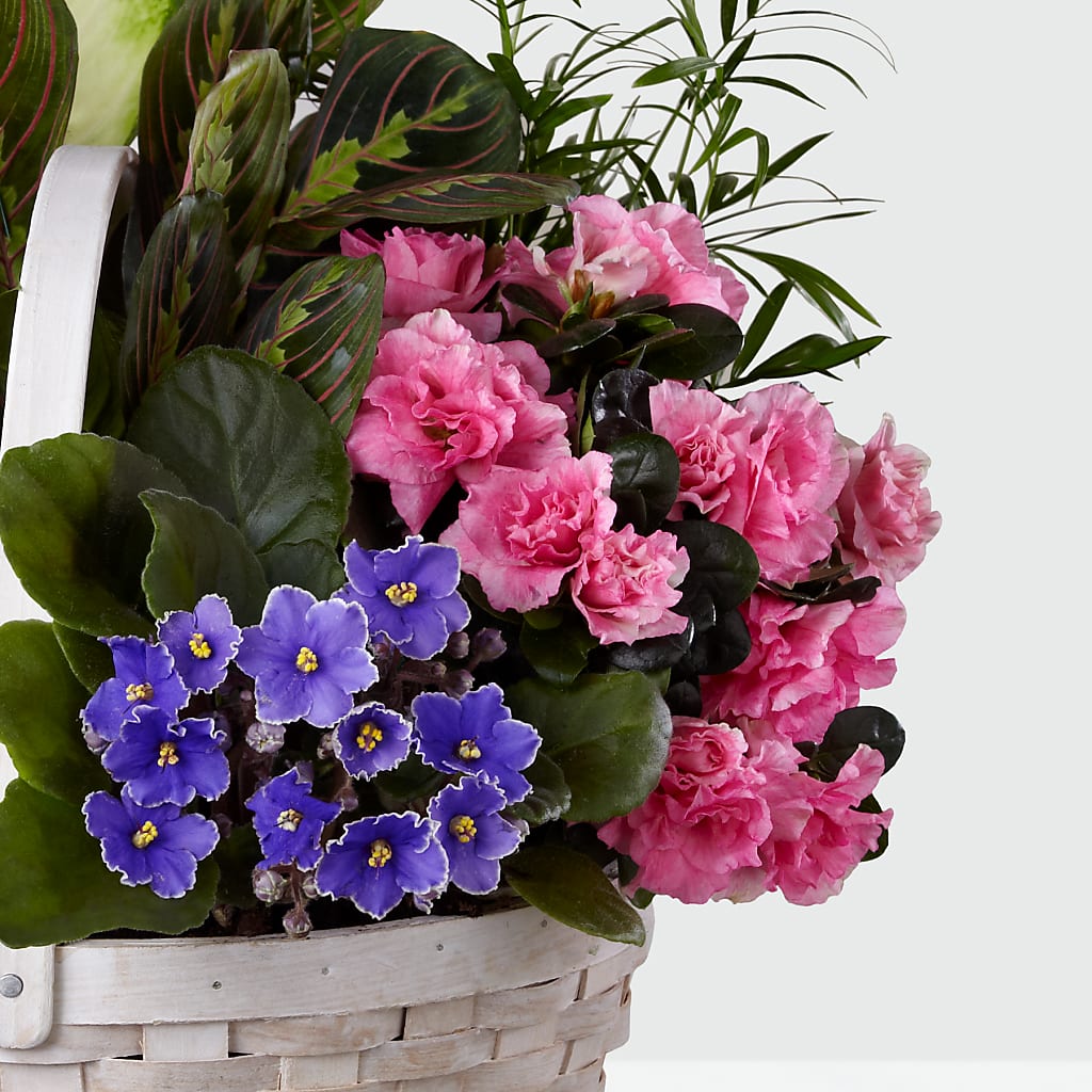 Peaceful Garden Planter –  Allure Floral Boutique, Wickliffe OH