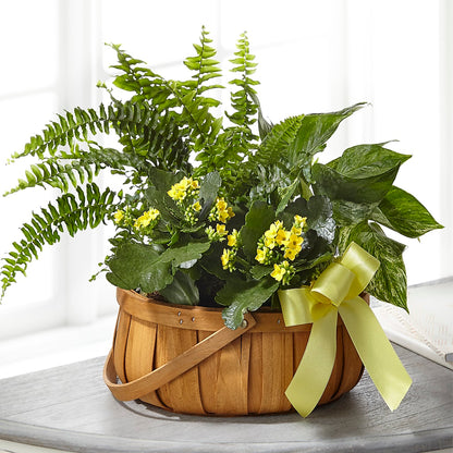 Always Dear Dishgarden –  Allure Floral Boutique, Wickliffe OH