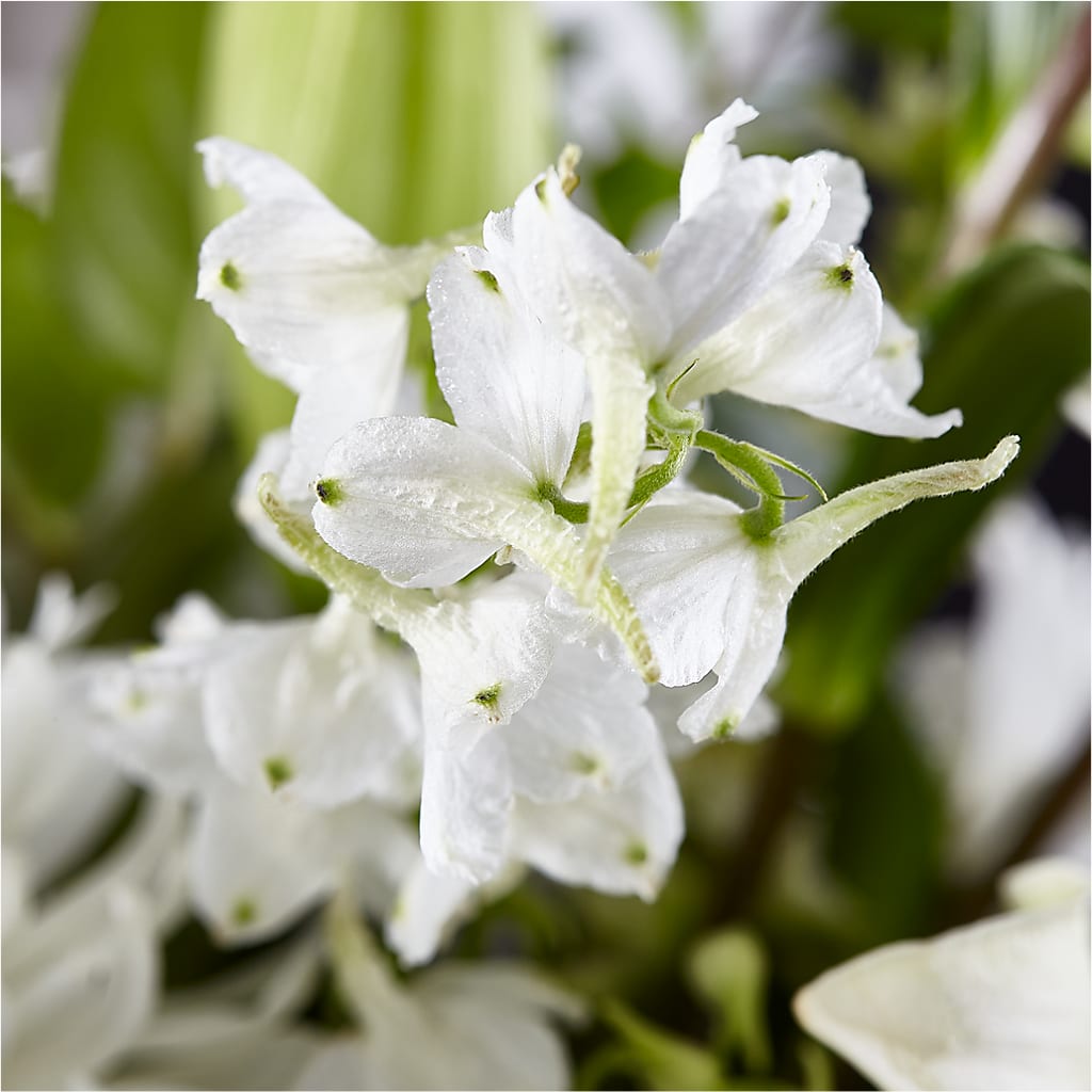 Classic Ivory – A Florist Original –  Allure Floral Boutique, Wickliffe OH
