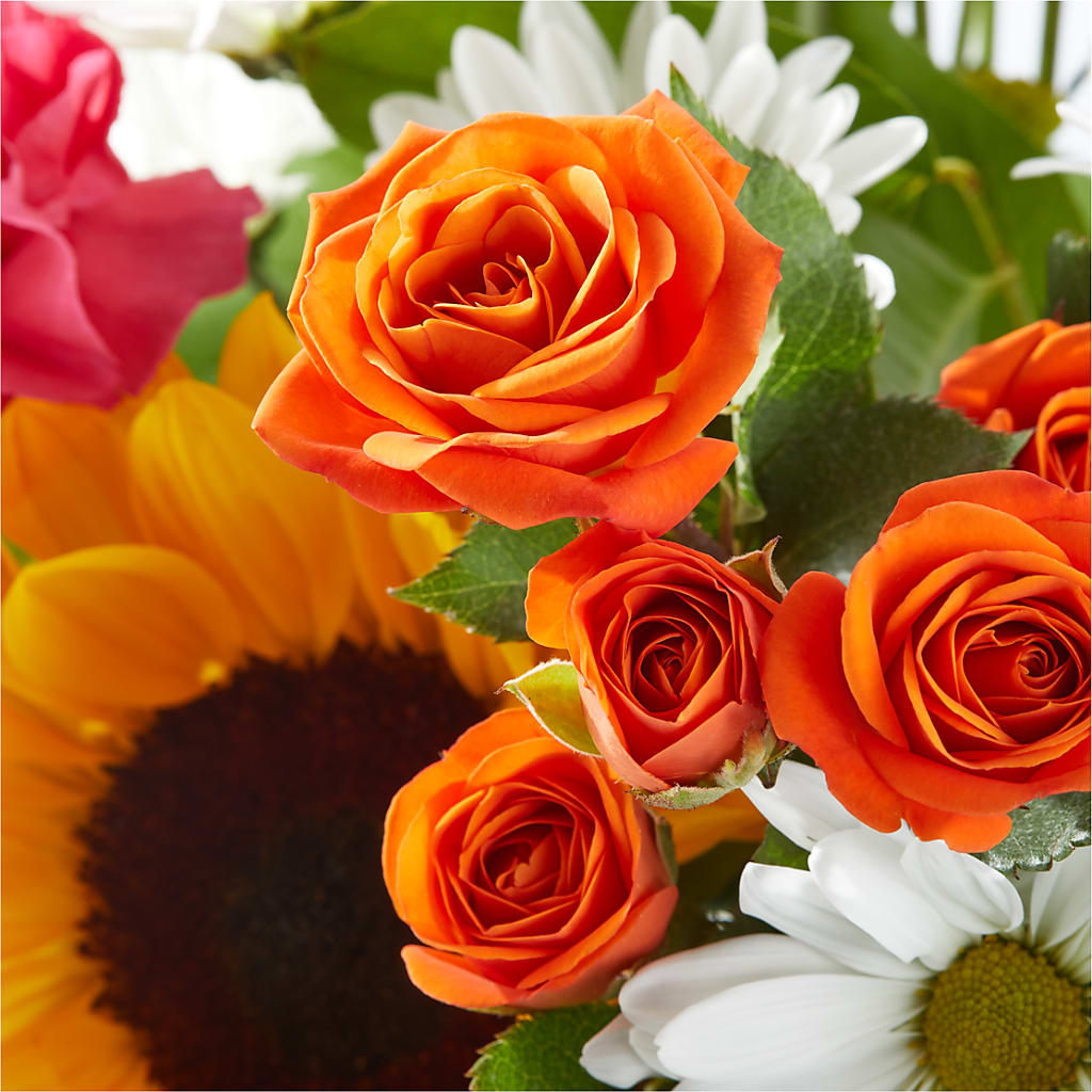 Sun-drenched Blooms Bouquet –  Allure Floral Boutique, Wickliffe OH