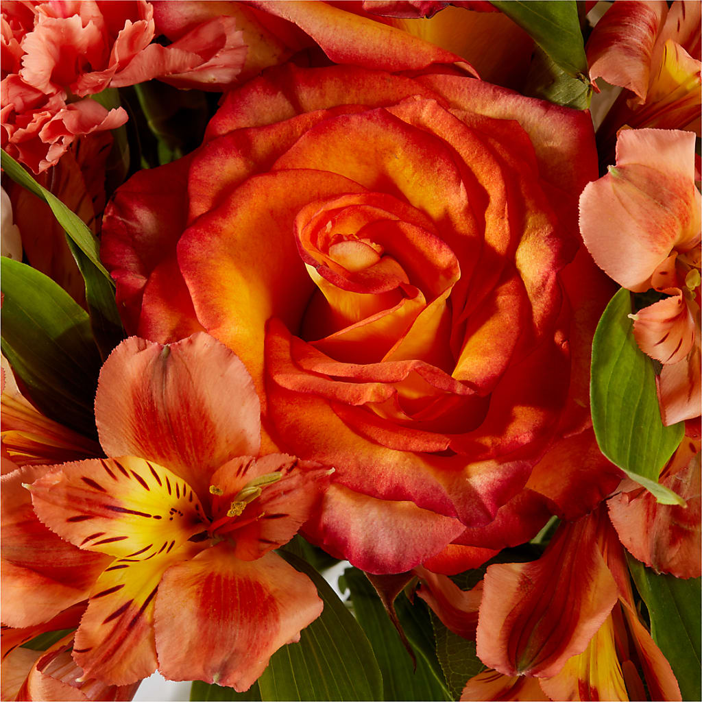 Apricot Glow Bouquet –  Allure Floral Boutique, Wickliffe OH