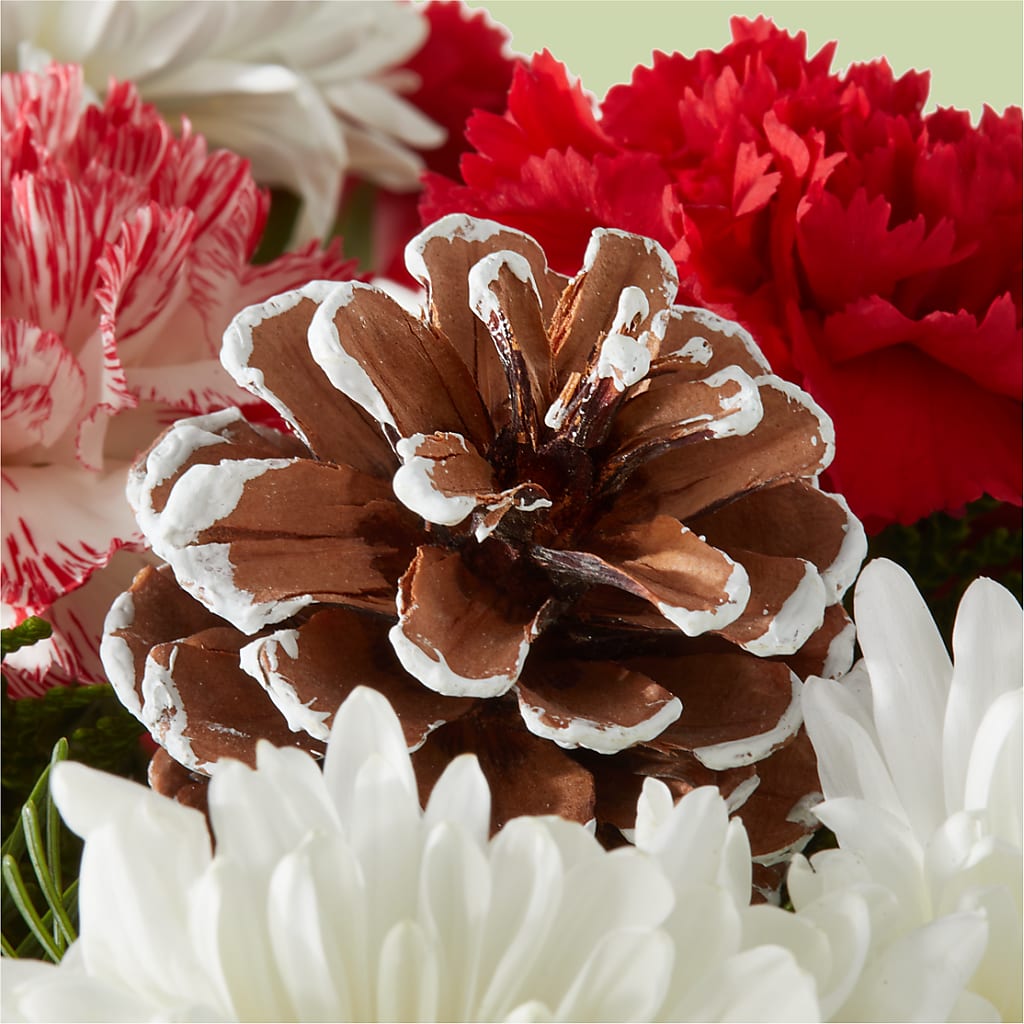 Candy Cane Lane Bouquet –  Allure Floral Boutique, Wickliffe OH