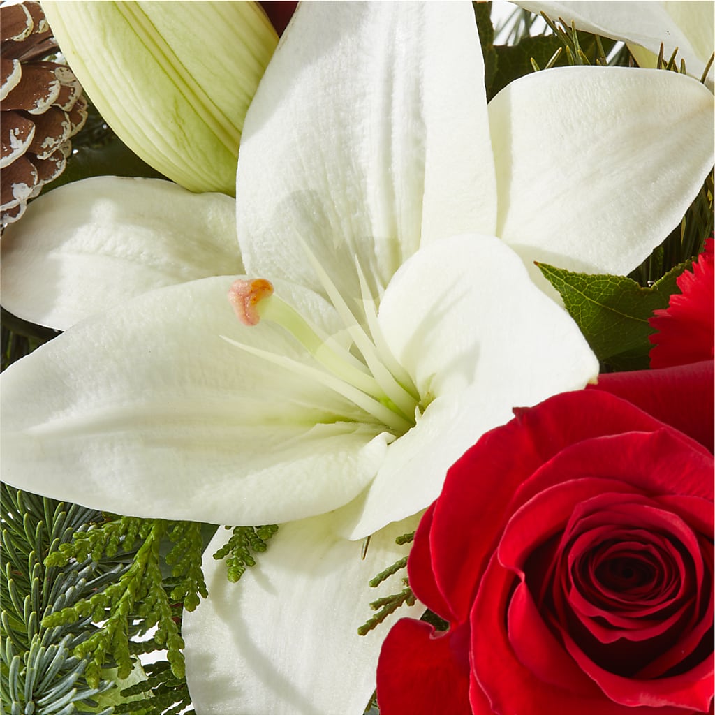 Oh So Jolly Bouquet –  Allure Floral Boutique, Wickliffe OH