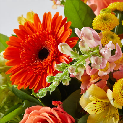 Autumn Sunshine Bouquet –  Allure Floral Boutique, Wickliffe OH