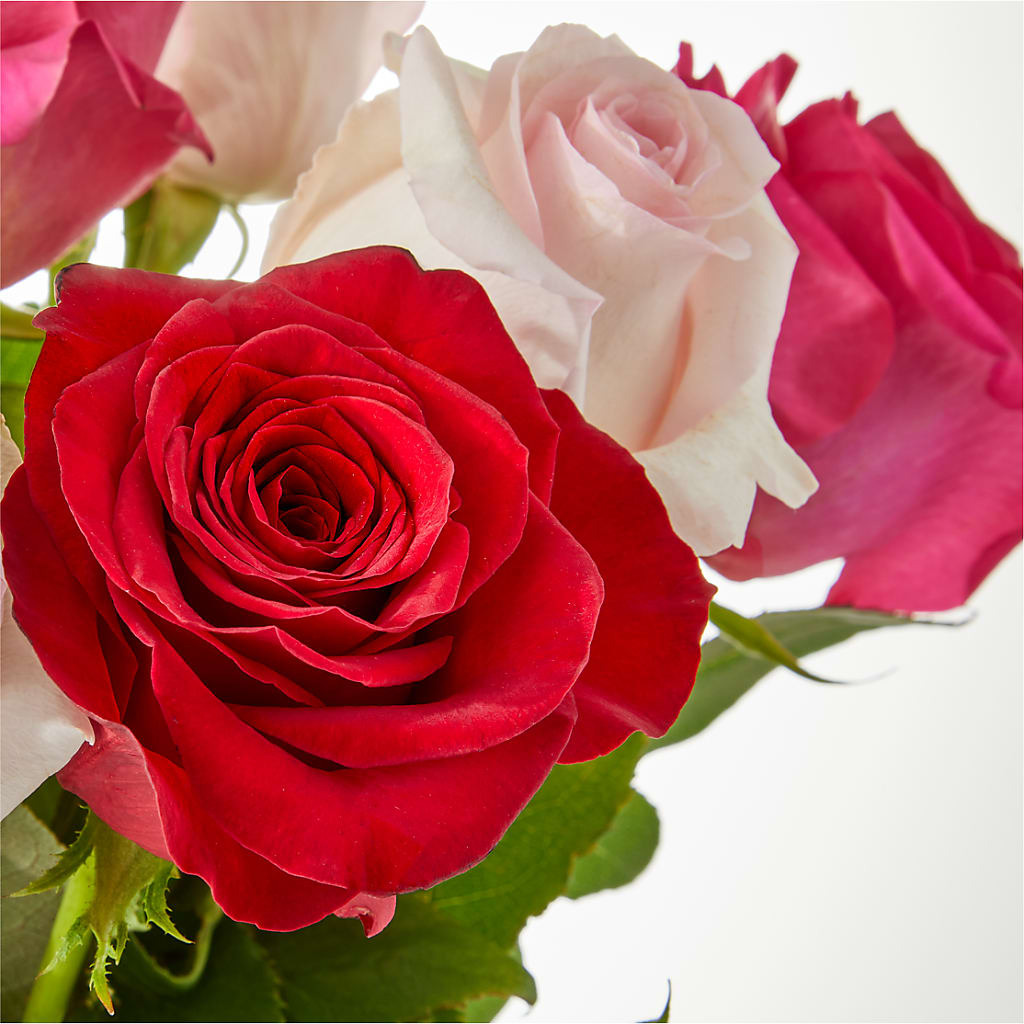 Charming Rose Bouquet –  Allure Floral Boutique, Wickliffe OH