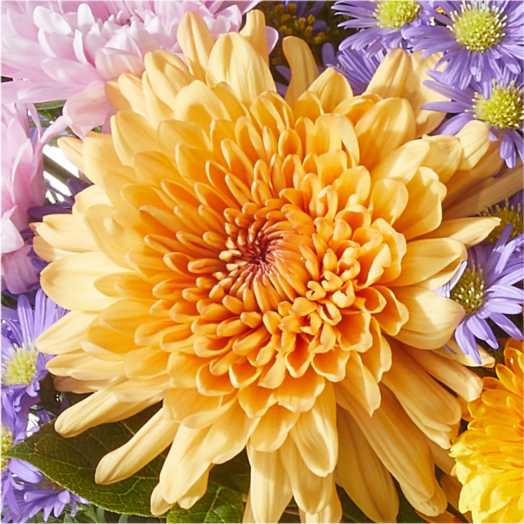 Countryside Bouquet –  Allure Floral Boutique, Wickliffe OH