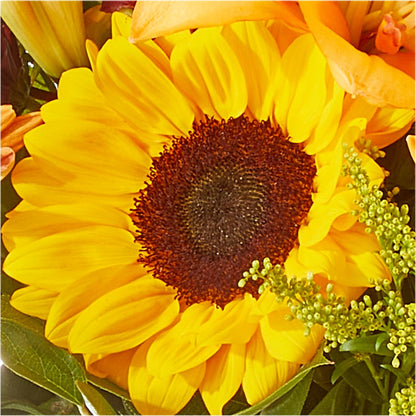 Seasons Change Bouquet –  Allure Floral Boutique, Wickliffe OH