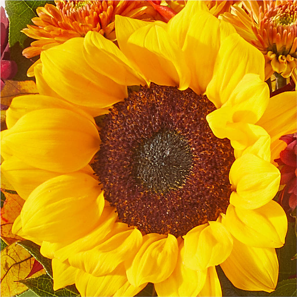 Sunny Side Bouquet –  Allure Floral Boutique, Wickliffe OH