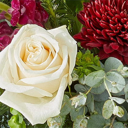 Cranberry Fizz Bouquet –  Allure Floral Boutique, Wickliffe OH