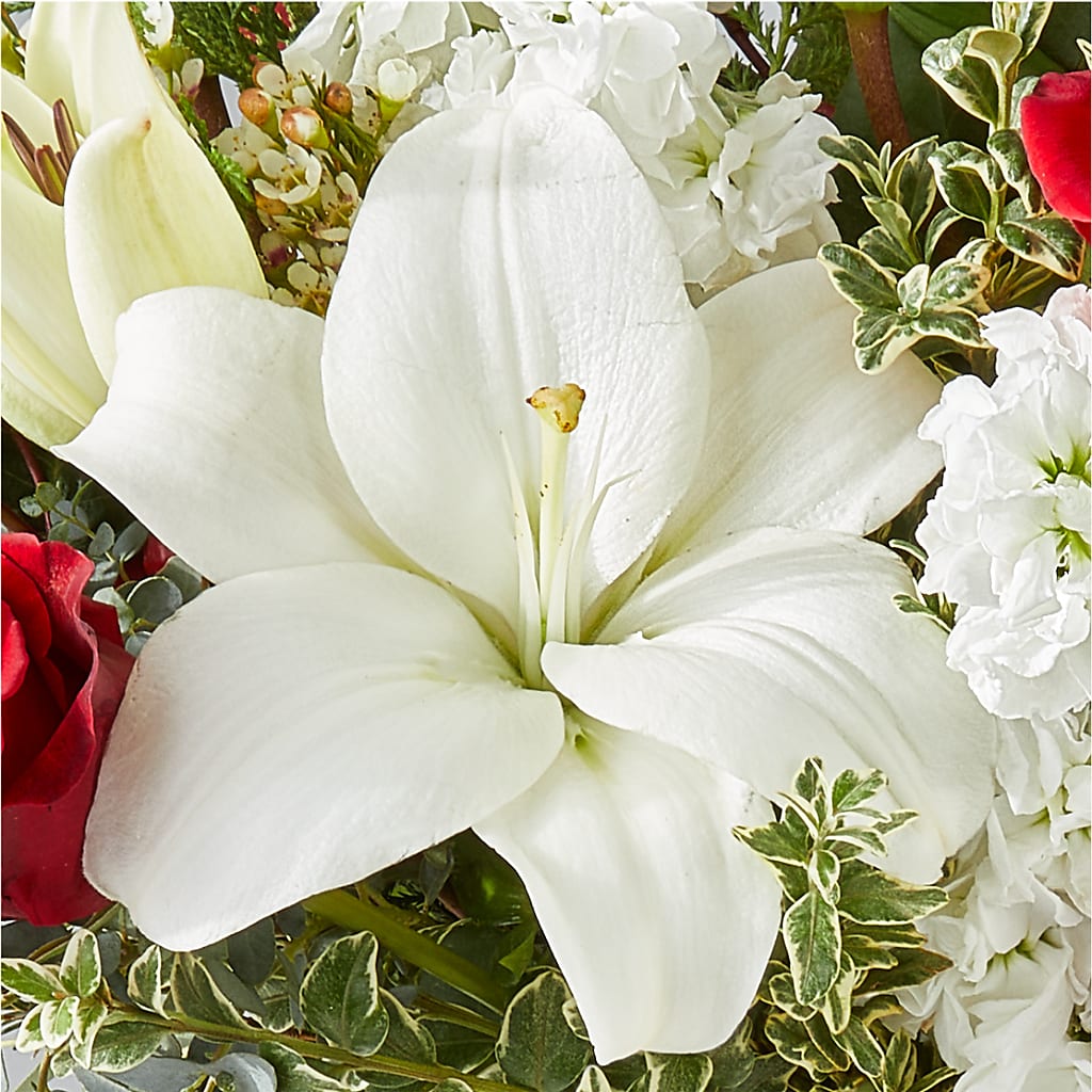 Twinkle Lights Bouquet –  Allure Floral Boutique, Wickliffe OH