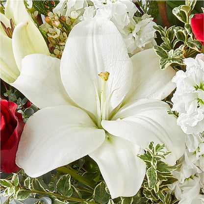 Twinkle Lights Bouquet –  Allure Floral Boutique, Wickliffe OH