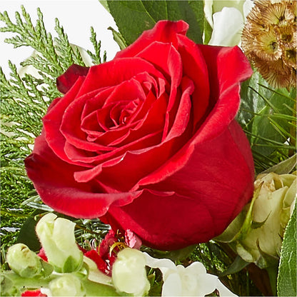 Deck the Halls Bouquet –  Allure Floral Boutique, Wickliffe OH