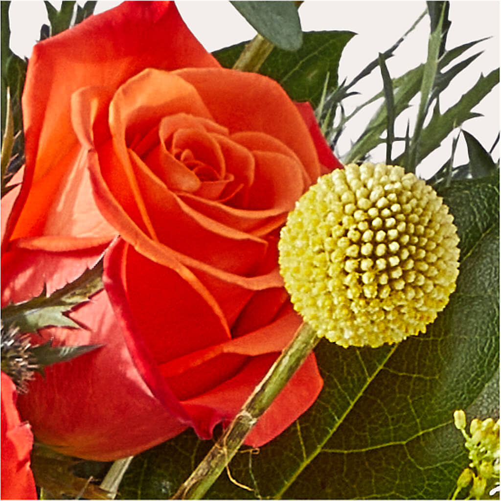 Disco Bouquet –  Allure Floral Boutique, Wickliffe OH